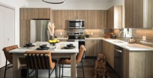 0-1_resized
